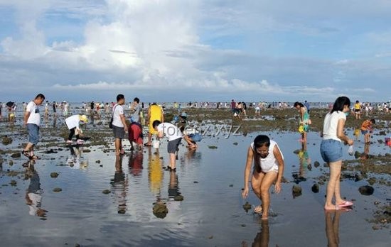 赶海旅游行业新趋势：现抓现吃与海洋生态体验的融合探索