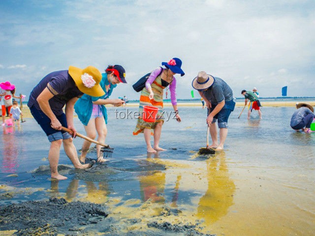 赶海旅游行业新趋势：现抓现吃与海洋生态体验的融合探索